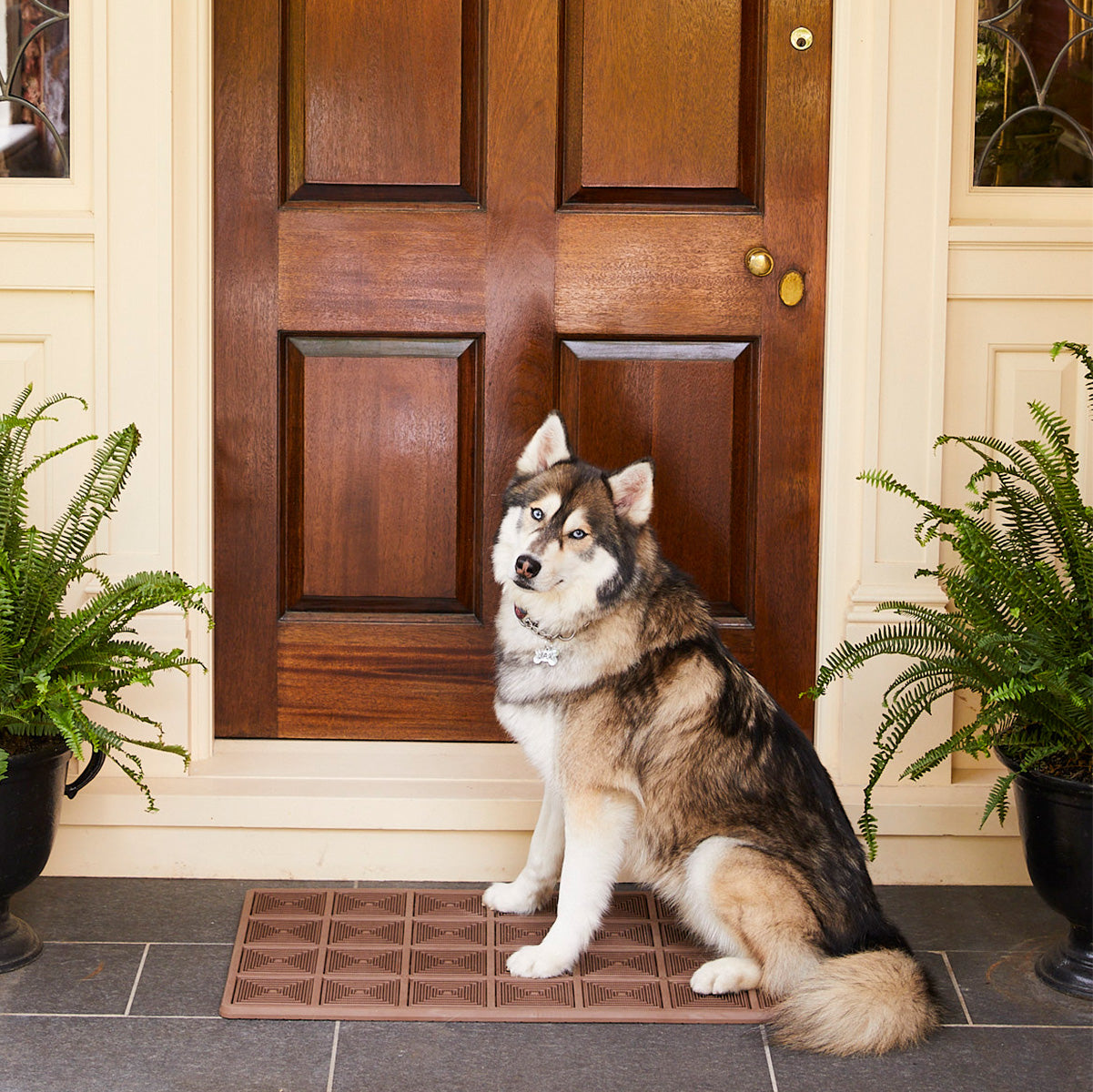 This Doggy Doormat Traps Dirt And Water So Your House Stays Clean